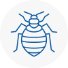 Bed Bug Extermination In Haworth